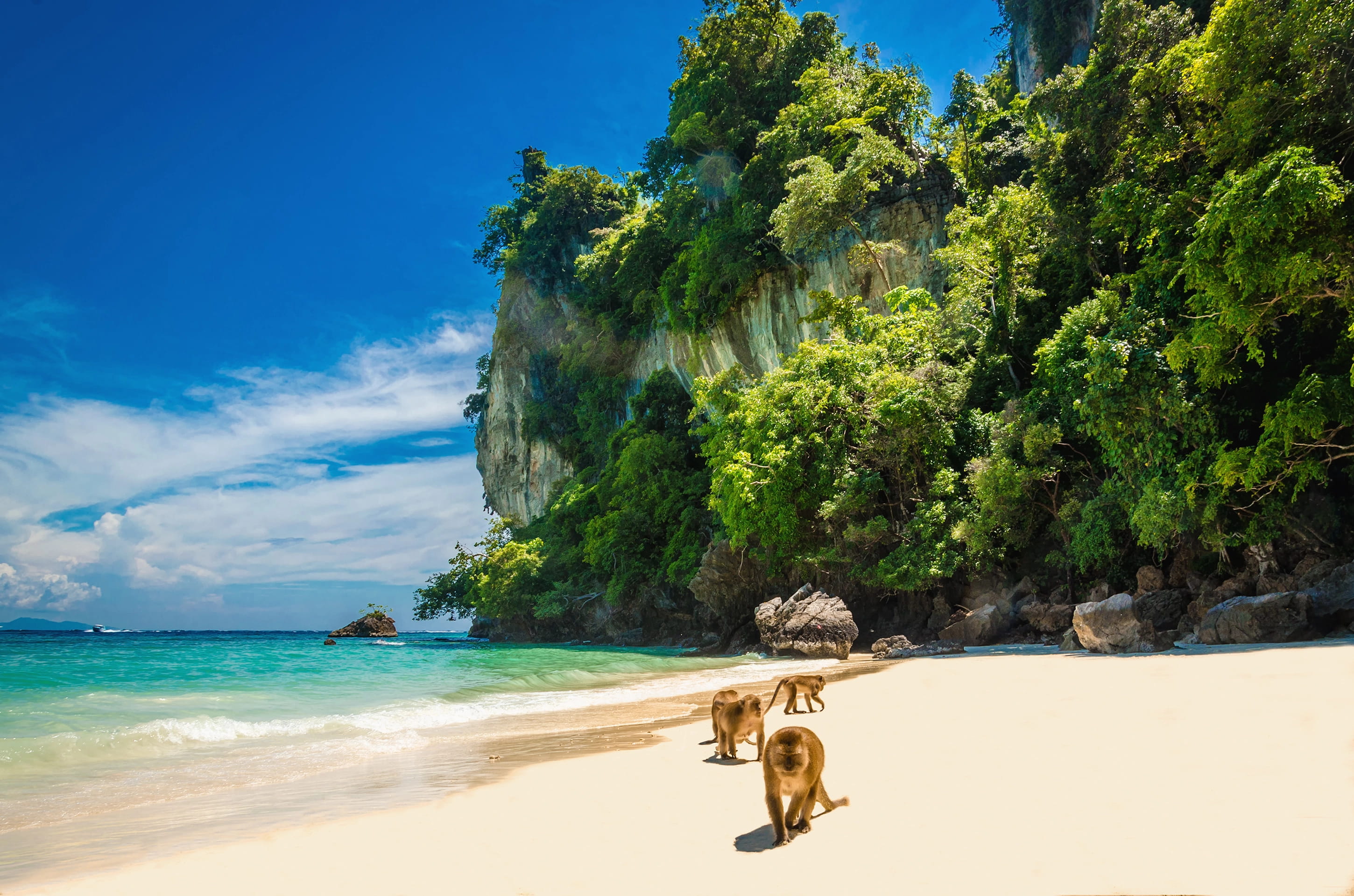 Phi Phi, Krabi, Railay i kolorwe łodzie w Tajlandii (8).jpg